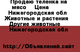 Продаю теленка на мясо. › Цена ­ 350 - Нижегородская обл. Животные и растения » Другие животные   . Нижегородская обл.